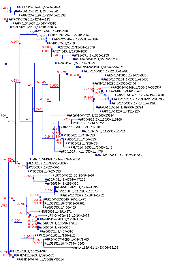 Rfam Family Let 7 Rf00027