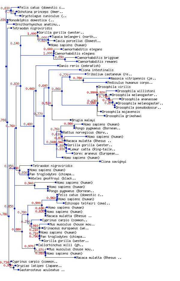 Rfam Family Let 7 Rf00027