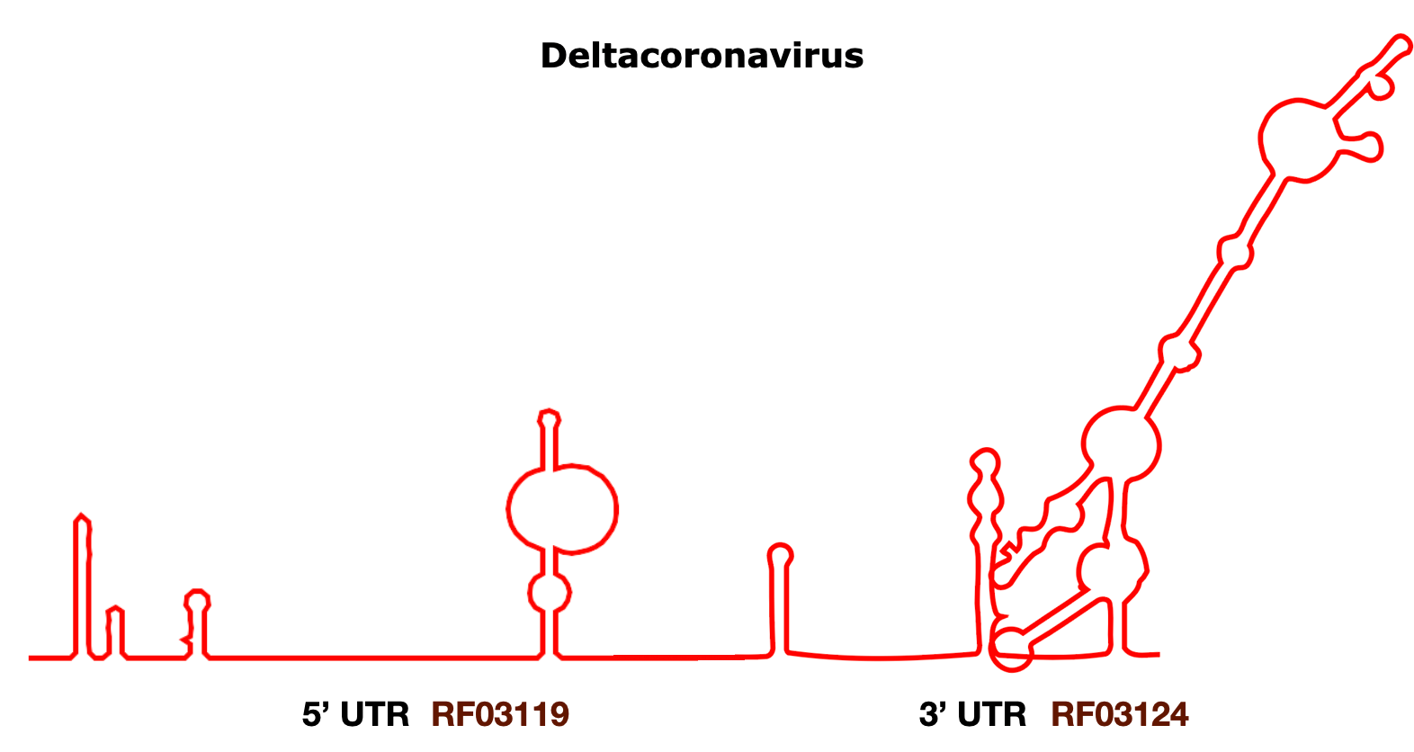 Deltacoronavirus