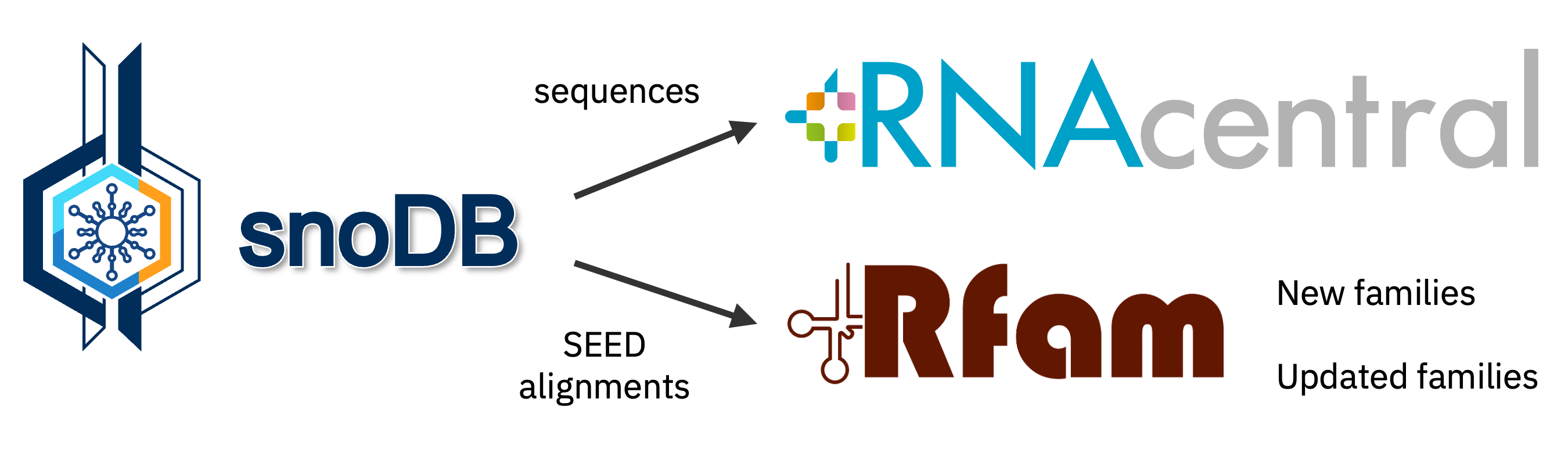 snoDB workflow: snoDB provides sequences to RNAcentral and SEED alignments, new families, and updated families to Rfam